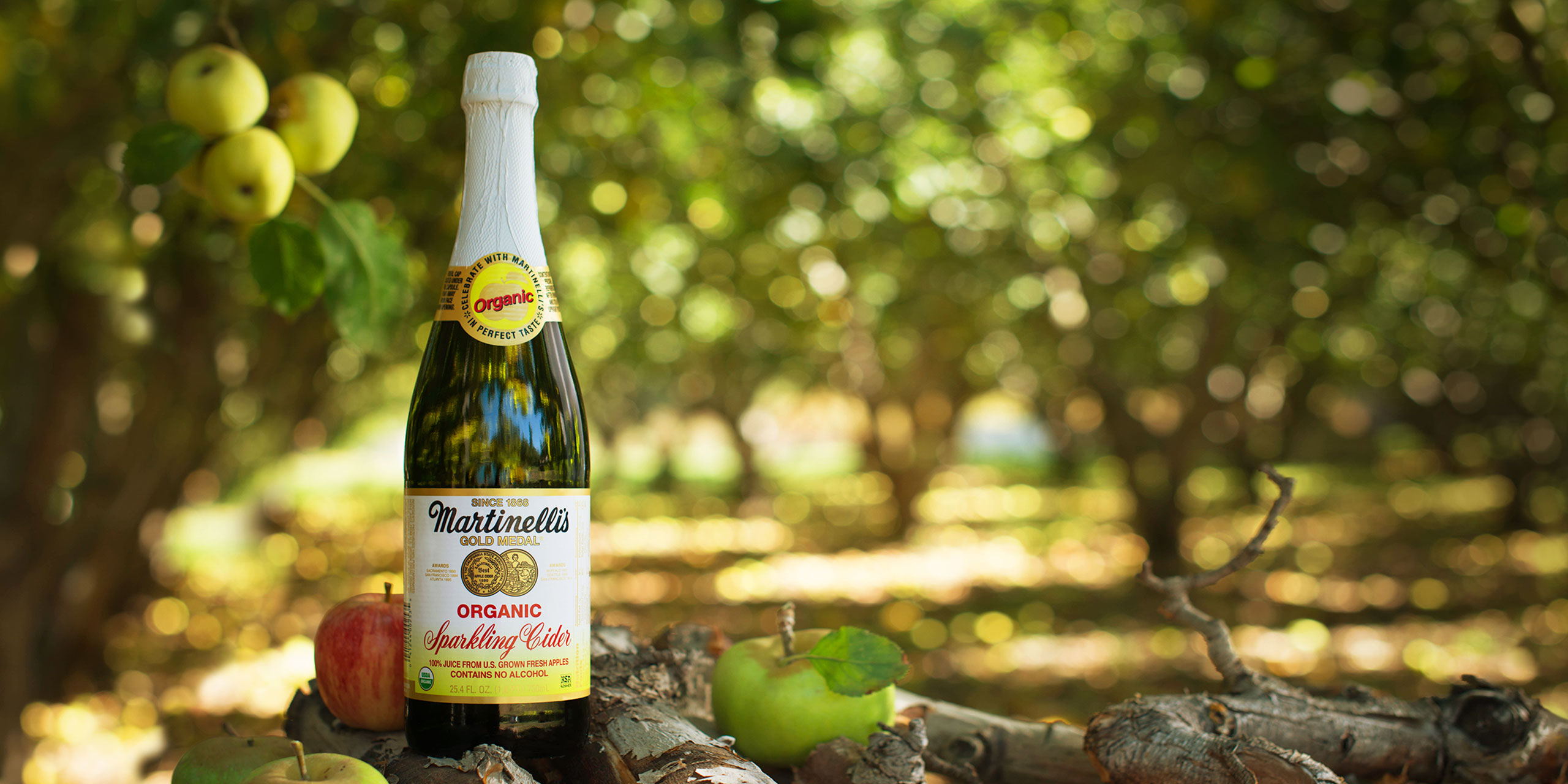 Organic Sparkling Cider - Organic Juices - S. Martinelli & Co