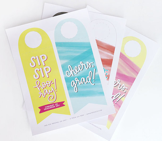 Grad Gift Idea: DIY Printable Bottle Tags - Inspiration - S. Martinelli ...